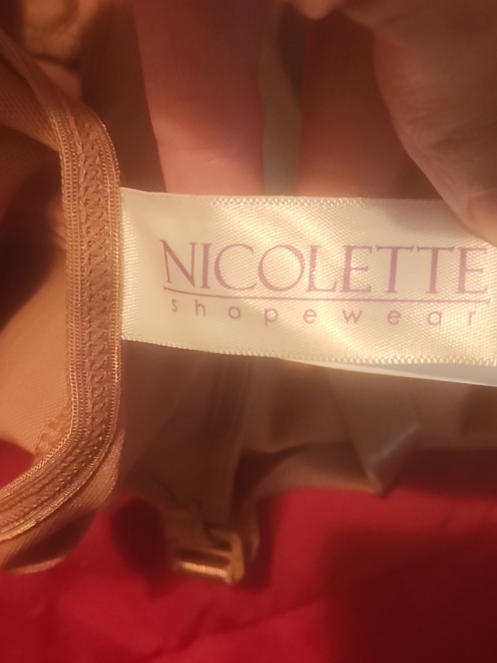 Nicolette Nude/Tan Seamless Faja Shapewear Brief Size M